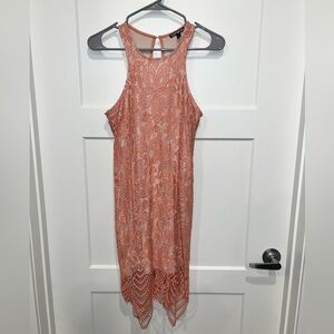 Express Blush Dress